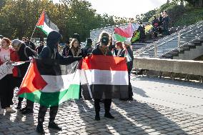 Rally in support of Palestine