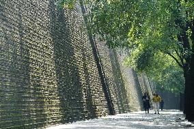 Plants Have Covered the City Walls with A Green Coat - China