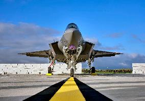 King Philippe At F-35 Delivery Ceremony - Florennes