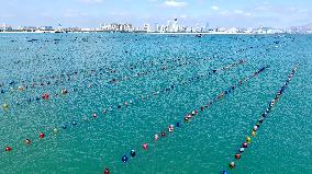 Oysters Harvest in Qingdao