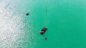 Oysters Harvest in Qingdao