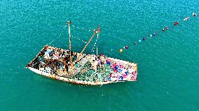 Oysters Harvest in Qingdao