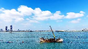 Oysters Harvest in Qingdao