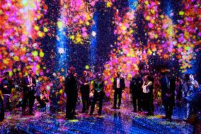 CROWN PRINCESS IN TOKYO