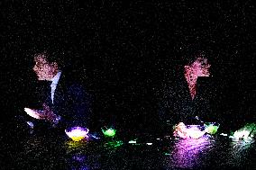 CROWN PRINCESS IN TOKYO