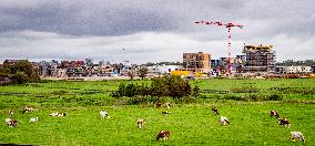 Illustration - Nitrogen Action Program and New Constructions - Netherlands