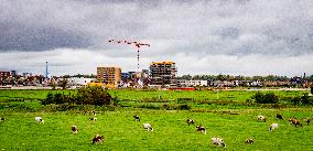 Illustration - Nitrogen Action Program and New Constructions - Netherlands