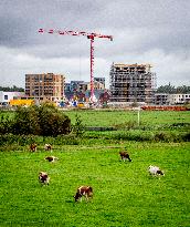 Illustration - Nitrogen Action Program and New Constructions - Netherlands