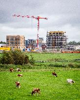 Illustration - Nitrogen Action Program and New Constructions - Netherlands