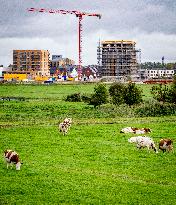 Illustration - Nitrogen Action Program and New Constructions - Netherlands