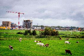 Illustration - Nitrogen Action Program and New Constructions - Netherlands