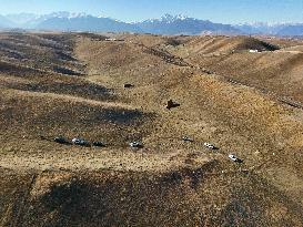 Xinjiang Tekes Wedding - China