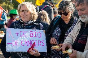 Farmers' Demonstration in Paris - France