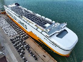 NEV Production And Sales - China