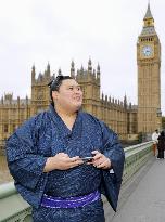 Sumo: London tournament