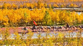 Silk Road Cultural Tour Camel Team