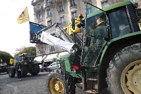 Protest Against the Mercosur Agreement - Paris