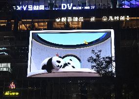 Glasses-Free 3 D Panda Along a Street - China