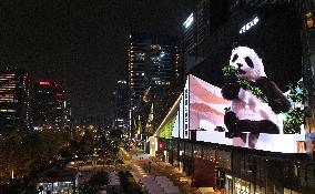 Glasses-Free 3 D Panda Along a Street - China