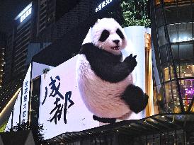 Glasses-Free 3 D Panda Along a Street - China