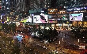 Glasses-Free 3 D Panda Along a Street - China