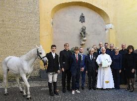 Pope Leo XIV Receives Purebred Arabian White Horse As A Gift  - Vatican
