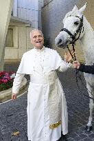 Pope Leo XIV Receives Purebred Arabian White Horse As A Gift  - Vatican
