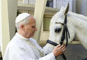 Pope Leo XIV Receives Purebred Arabian White Horse As A Gift  - Vatican