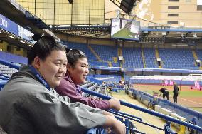 Sumo: London tournament