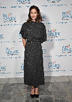 WeSpark Cancer Support Center Benefit