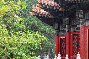 Illustration - Beijing