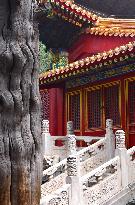 Illustration - Beijing