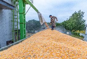Family Farm Drying Center