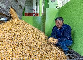 Family Farm Drying Center