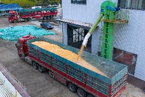 Family Farm Drying Center