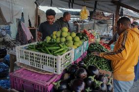Khan Yunis After Gaza Ceasefire - Palestine