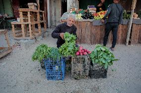 Khan Yunis After Gaza Ceasefire - Palestine