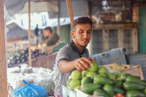 Khan Yunis After Gaza Ceasefire - Palestine