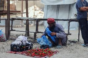 Khan Yunis After Gaza Ceasefire - Palestine