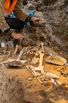 Archaeological excavations