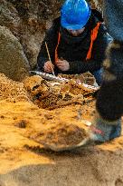 Archaeological excavations