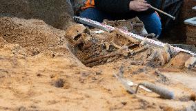 Archaeological excavations