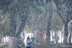 Snow In Harbin - China