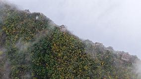 Aerial Drone Shots Of Great Wall - China