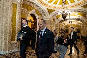 Schumer and Jeffries Press Conference on the Government Shutdown