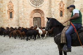 Celebration Of San Lucas Fair - Spain