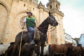 Celebration Of San Lucas Fair - Spain