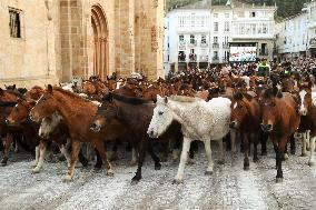 Celebration Of San Lucas Fair - Spain