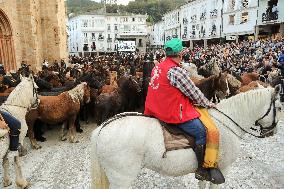 Celebration Of San Lucas Fair - Spain