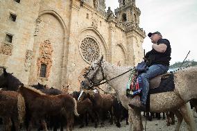 Celebration Of San Lucas Fair - Spain
